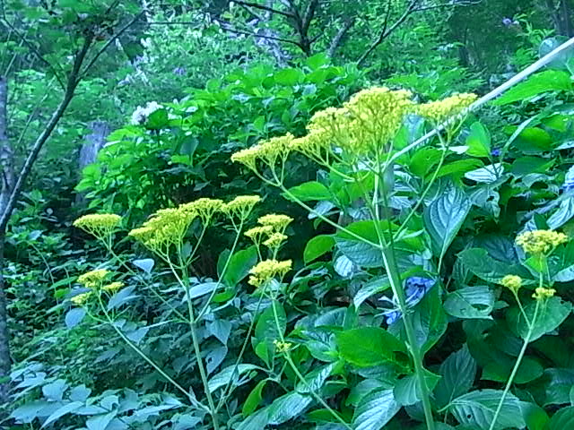 f0341616_62018.jpg