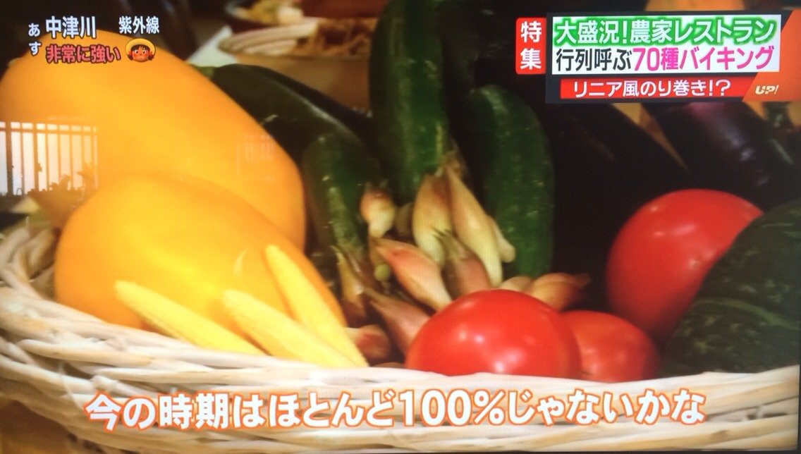 メーテレ UP!_d0063218_13345965.jpg