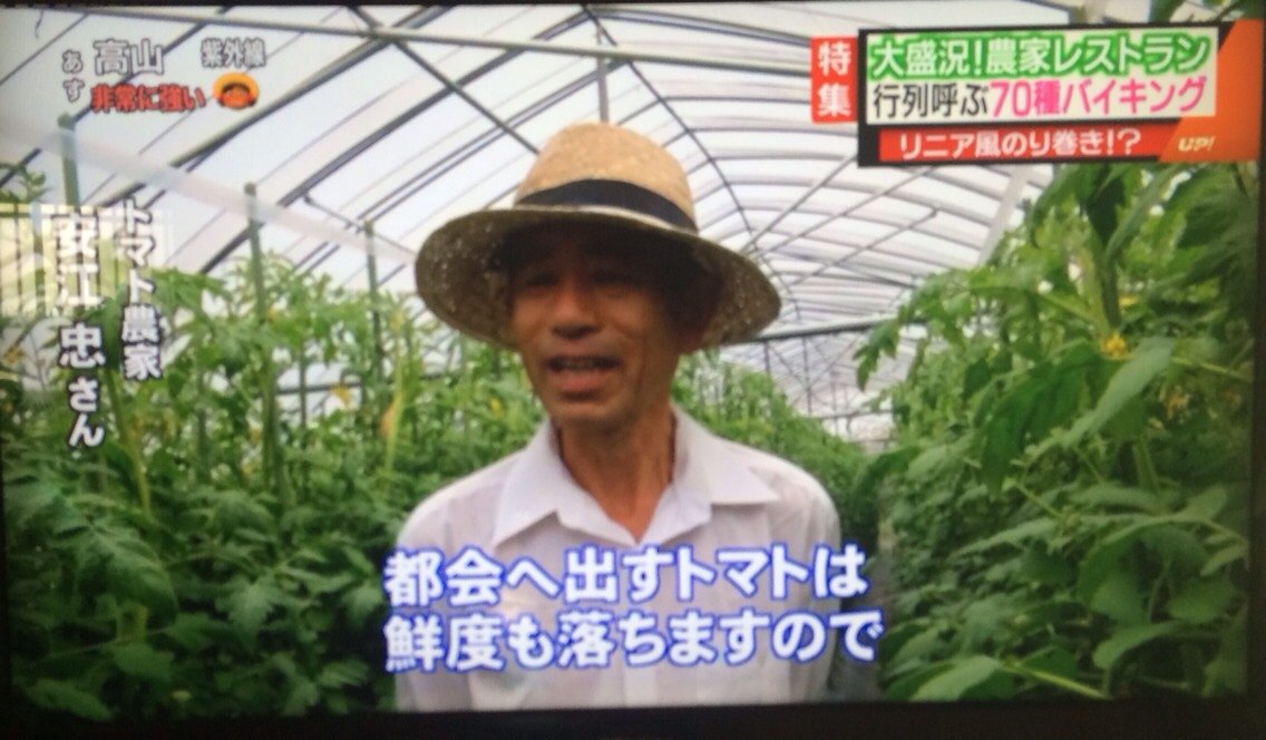 メーテレ UP!_d0063218_1336297.jpg