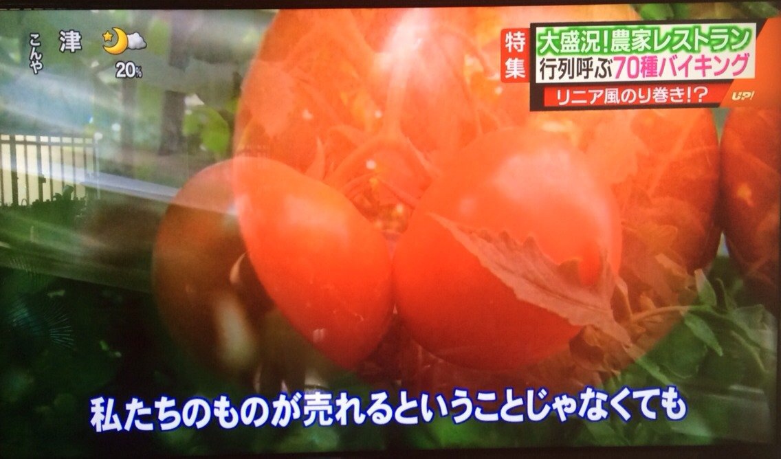 メーテレ UP!_d0063218_13381833.jpg