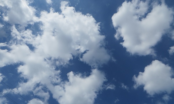 c0280322_17365691.jpg