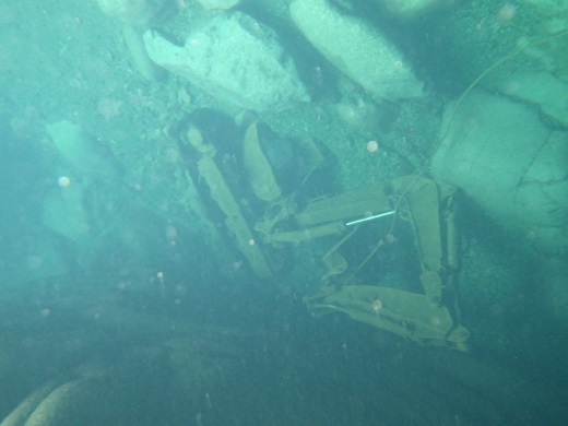 e0151623_4595589.jpg