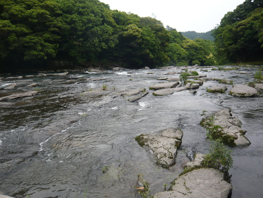 一雨来そうなそらもよう・・・川柳見て！！_a0206332_9234158.jpg