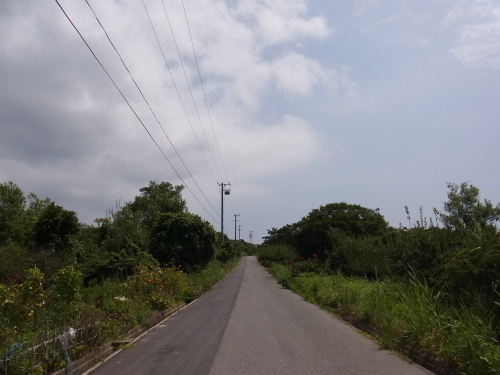 f0346737_21380492.jpg