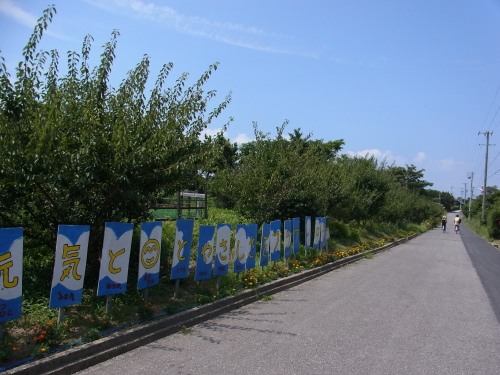 f0346737_21384605.jpg