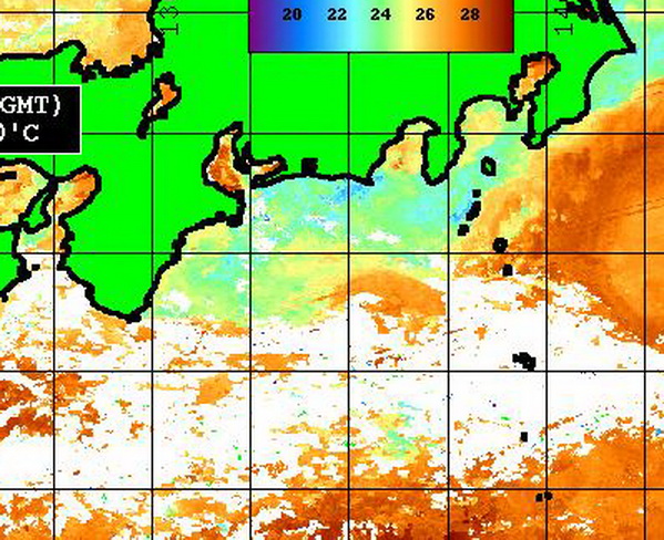 遠州灘の金洲南に反転流が・・・！！　銚子沖は？【カジキ・マグロトローリング】_f0009039_16595122.jpg