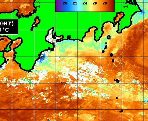 遠州灘の金洲南に反転流が・・・！！　銚子沖は？【カジキ・マグロトローリング】_f0009039_16595412.jpg