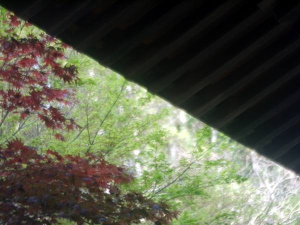 e0296043_53481.jpg