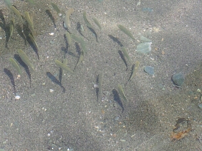 b0215345_23415643.jpg