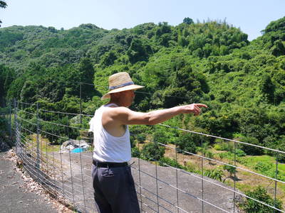 種なしかぼす 8月19日の初回出荷に向けて、順調に成長してる様子を取材してきました_a0254656_184444.jpg