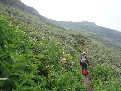 北海道の名山を巡る　⑤狩場山_d0032262_16202397.jpg