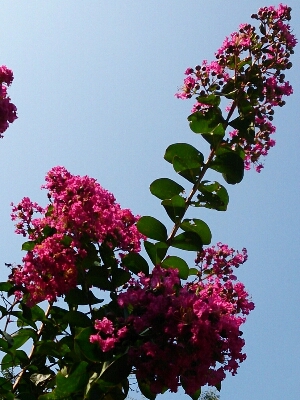 e0212073_20415972.jpg
