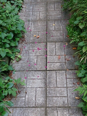 e0212073_20422218.jpg