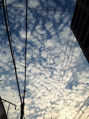b0229277_192129.jpg