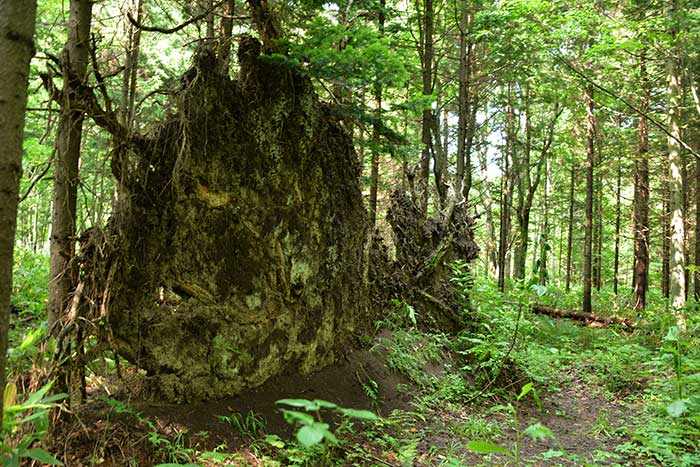 f0212586_9143950.jpg