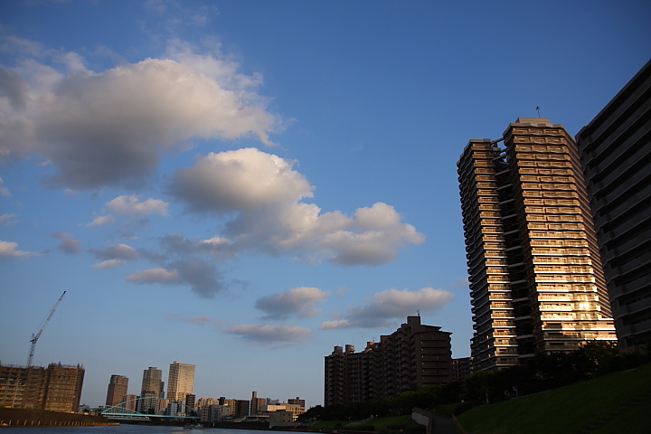 「　おかえり　」　東京下町　夕暮れ_f0164989_13192345.jpg