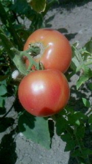 f0168392_22441600.jpg
