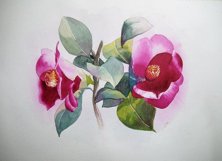 つばきの水彩画　原画　A4サイズ 河津桜」透明水彩画 原画 風景画 額縁付 A4サイズ 絵画 Oni 通販