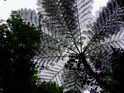 a0009196_15461089.jpg