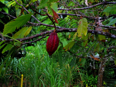 a0009196_15512948.jpg