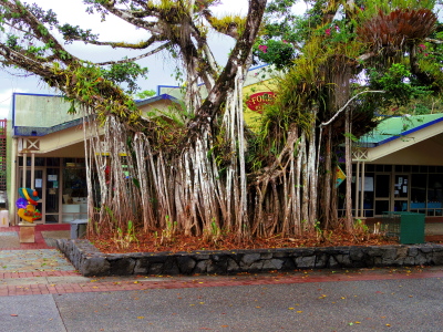 a0009196_15551590.jpg