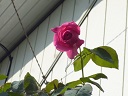 f0357714_18484084.jpg