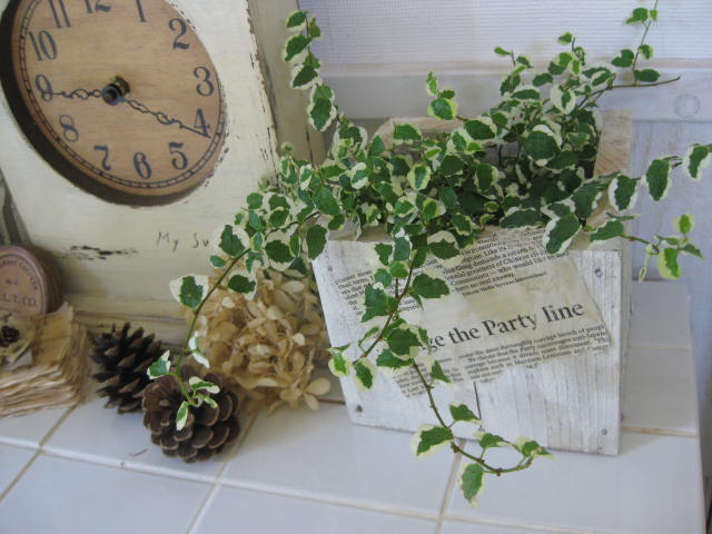 c0085916_723716.jpg