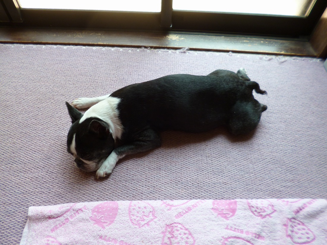 c0280416_15394342.jpg