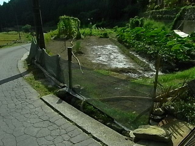 f0341616_66946.jpg