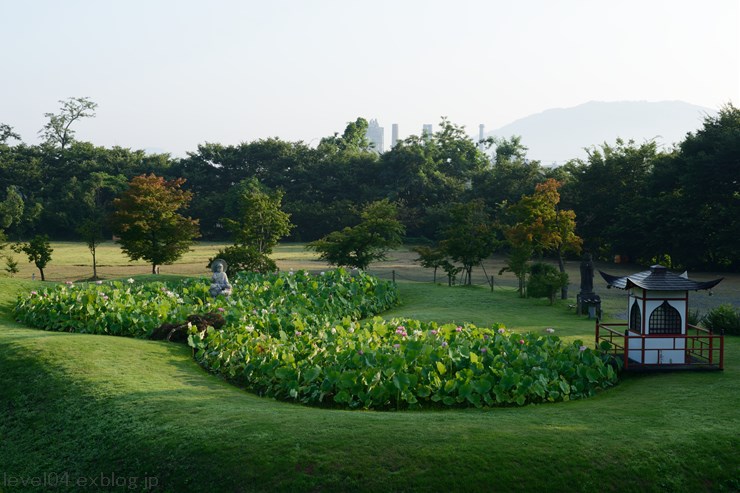 秩父 宗福寺 ～蓮～_d0319222_9304390.jpg