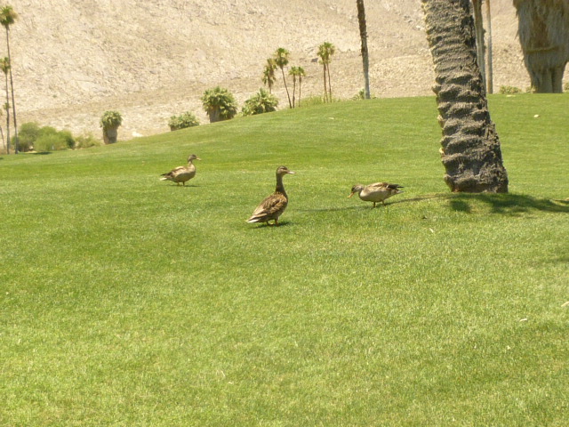 a0214927_8225044.jpg