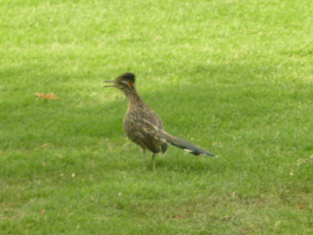 a0214927_824564.jpg