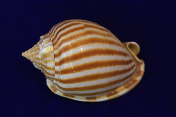 c0104227_0976.jpg