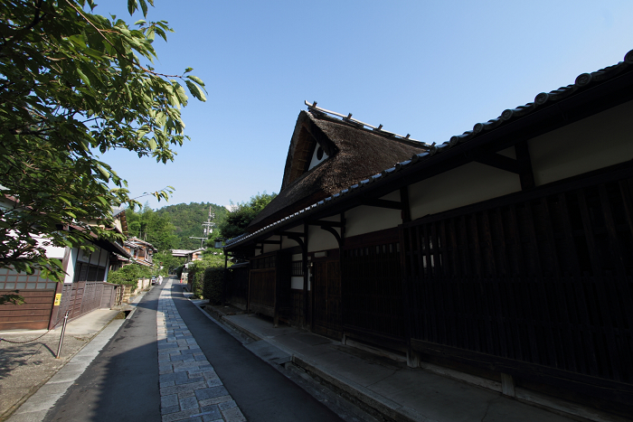 嵯峨野・晩夏 －愛宕街道－_b0169330_23122172.jpg