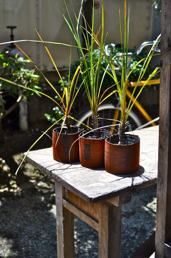 green pot cover_b0172633_12153182.jpg