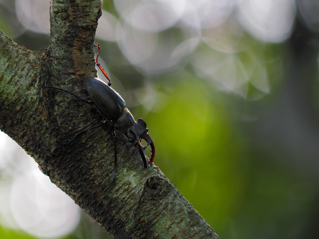 b0201233_20284840.jpg