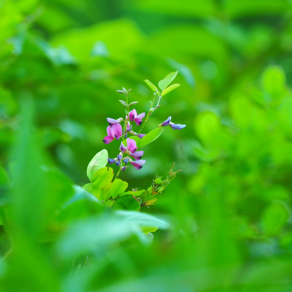 b0201233_2028981.jpg