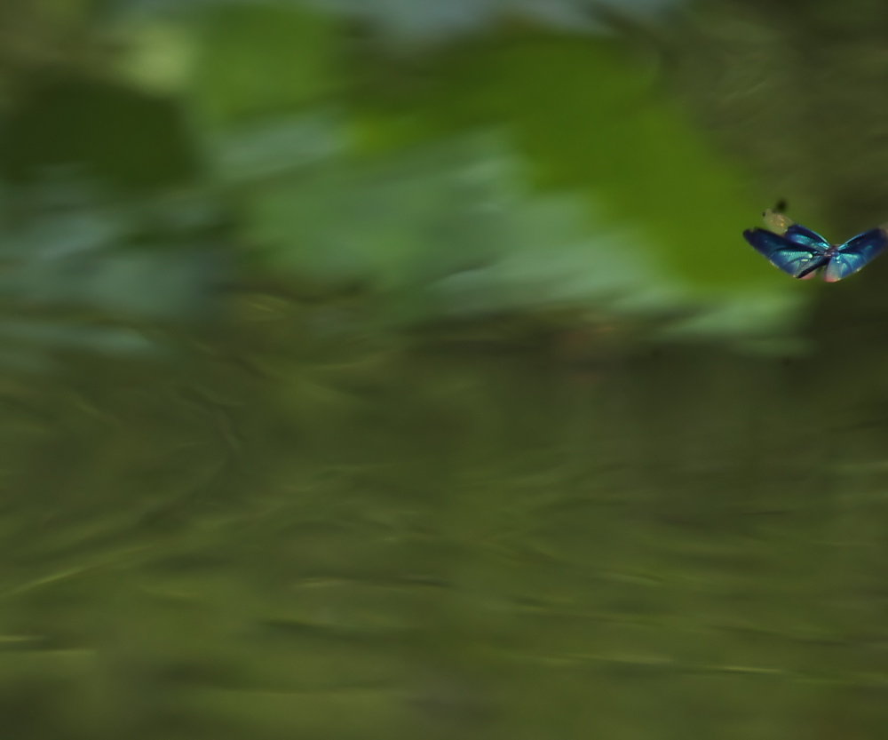 c0309734_01562123.jpg