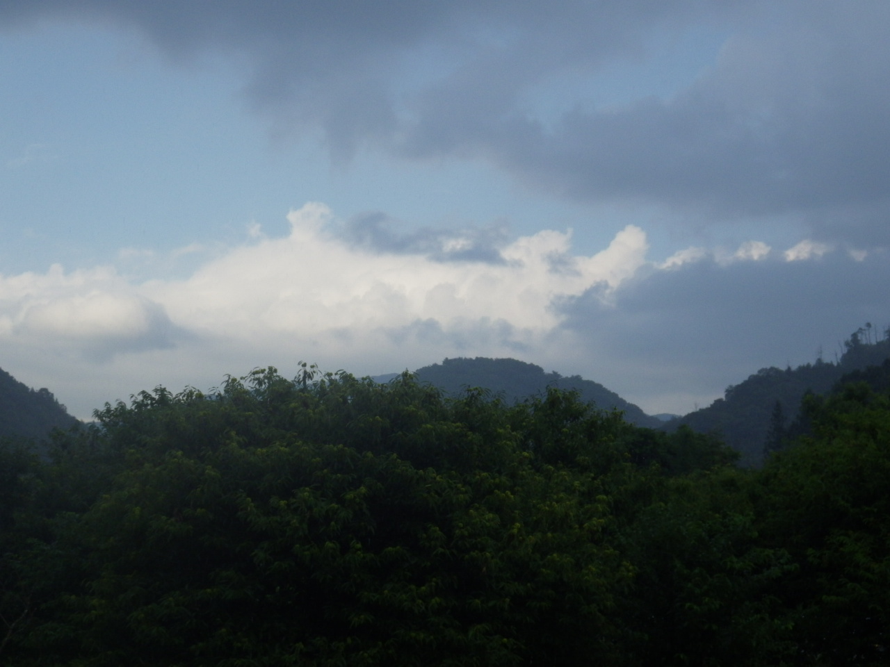 c0300035_1158537.jpg