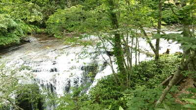 f0320843_2141413.jpg