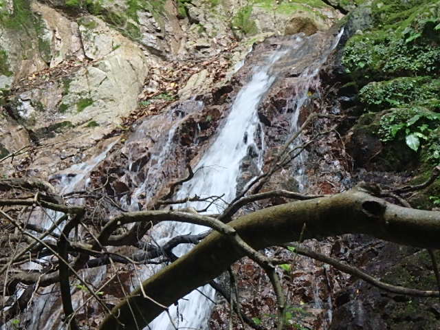 雨の六甲Ⅳ_f0334143_22324970.jpg