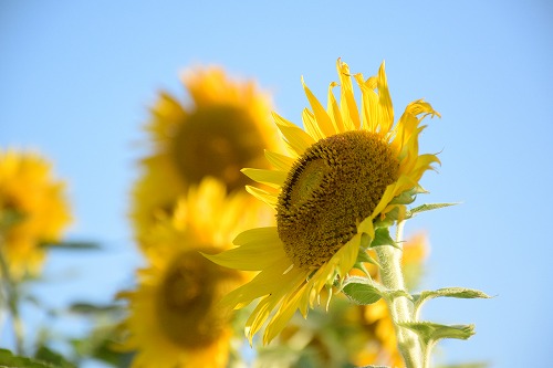 f0343750_21581996.jpg