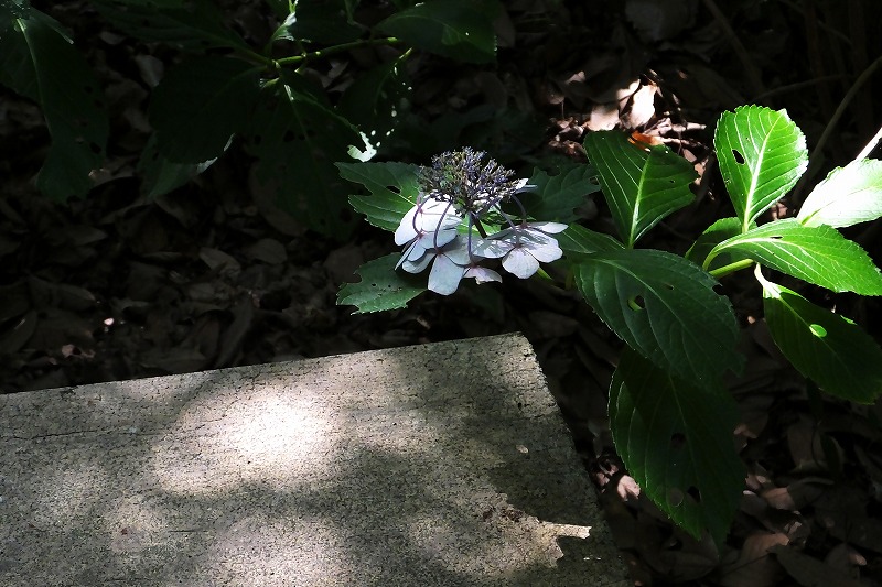 b0236251_13304910.jpg