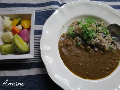 スパイシーなカレー_e0262651_11471714.png