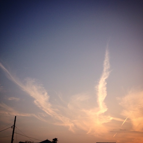 8月です。_e0060555_21310333.jpg