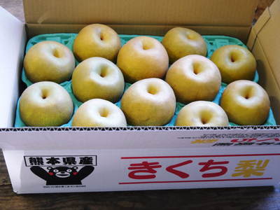 熊本梨 本藤果樹園 こだわりの樹上完熟梨「幸水」本日初出荷!!_a0254656_17454117.jpg