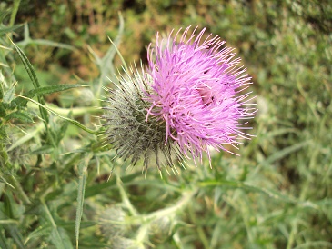 e0010856_23383771.jpg