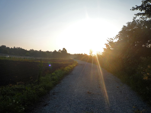 b0045357_9131569.jpg
