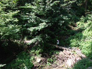 こどもたちと 御岳山 _d0065558_20372447.jpg