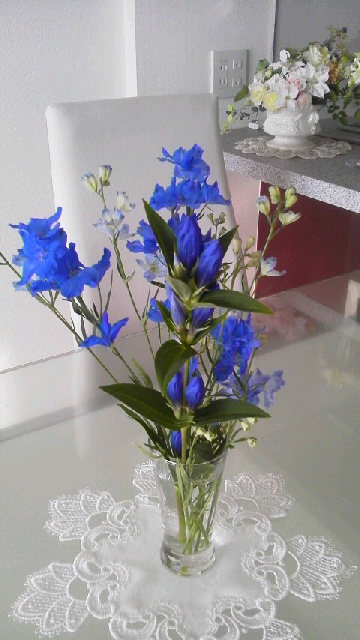a0159974_74910.jpg